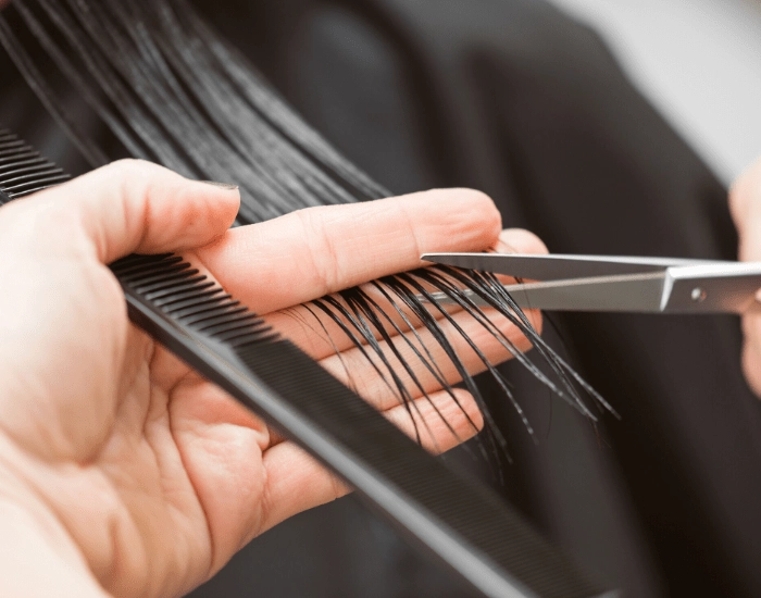 Hair Cut & Style Hair Cut & Style